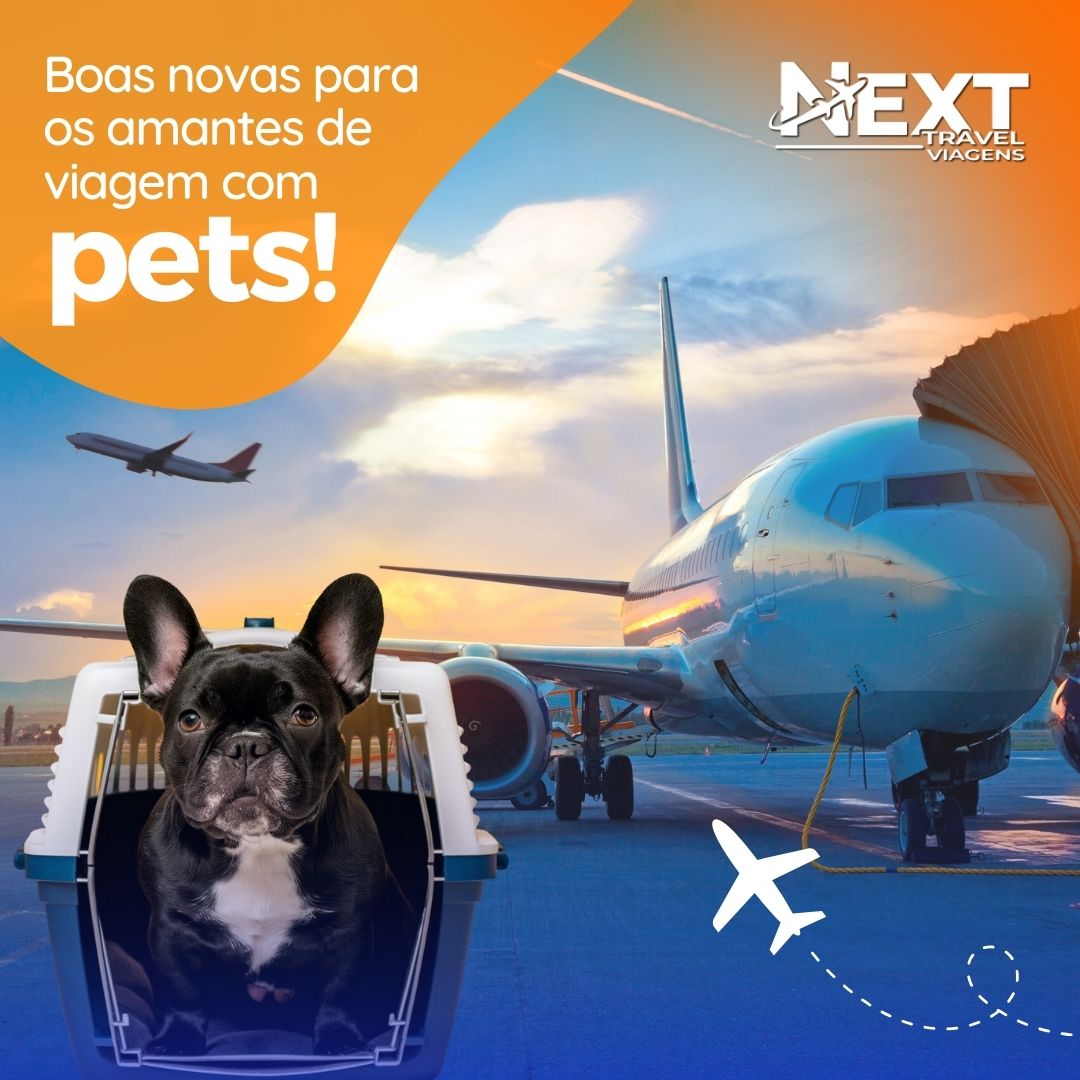 como viajar com seu pet